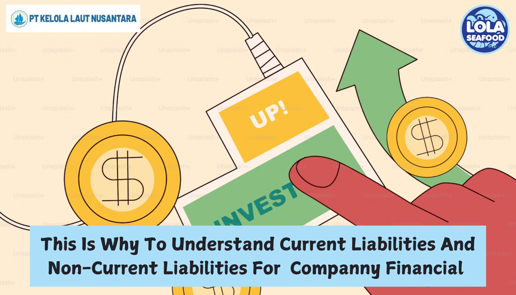 This Is Why To Understand Current Liabilities And Non-Current Liabilities For  Companny Financial Reports